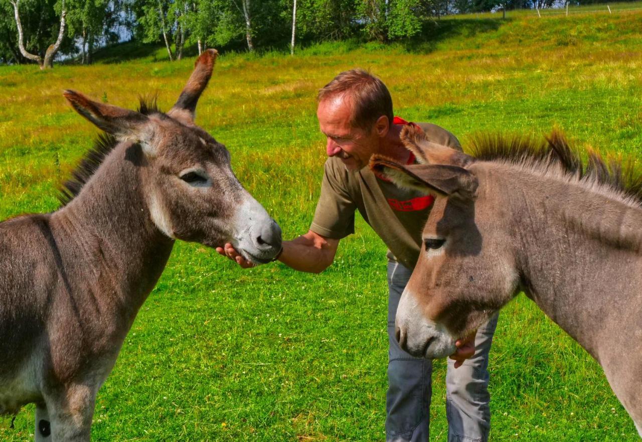 Chalupa Jenín Dolni Dvoriste Bagian luar foto